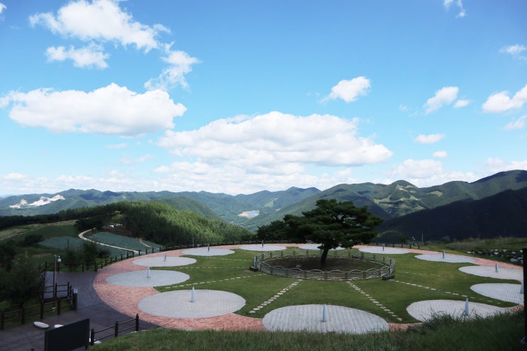  강원도 정선여행 2 (카페 아우로라, 타임캡슐공원)