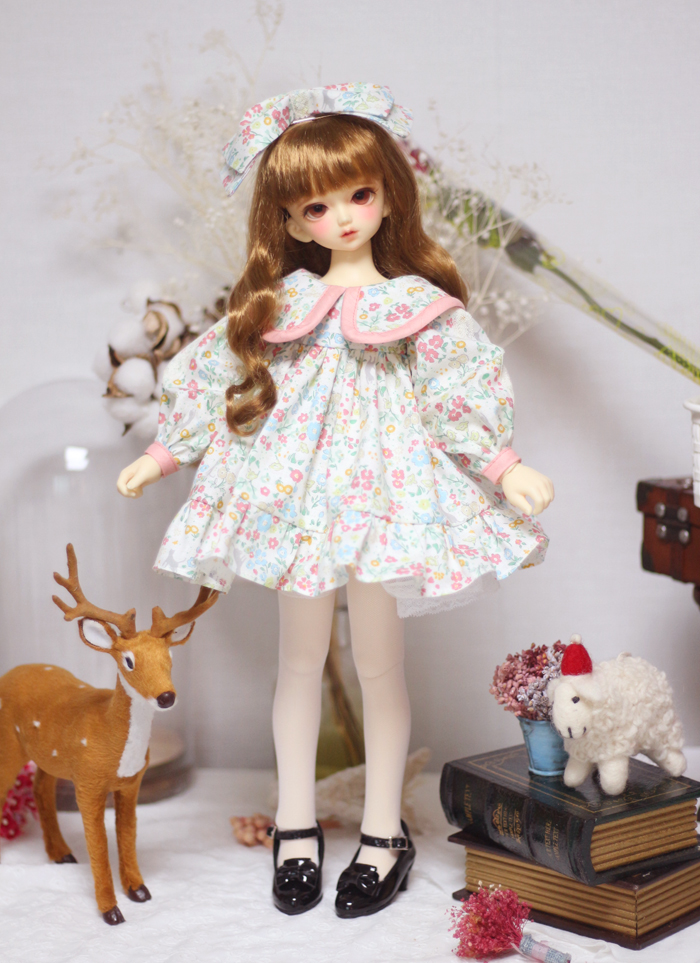  [Off] Winter Flowering (MSD, USD)
