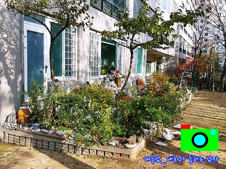 [군포시 초막골생태공원 점심산책 #2] 대통남의 조경 산본동 수리고등학교