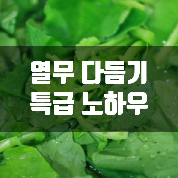 열무김치 다듬기(손질 법) (노하우)