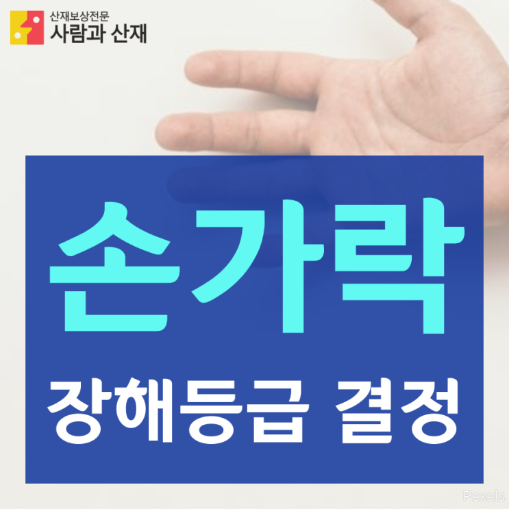  손가락의 장해등급 결정