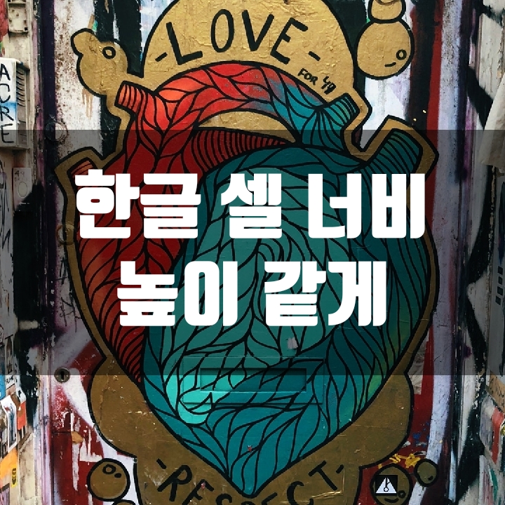  한글 셀(표) 높이, 셀(표) 너비 같게 조정 (노하우) - 6편