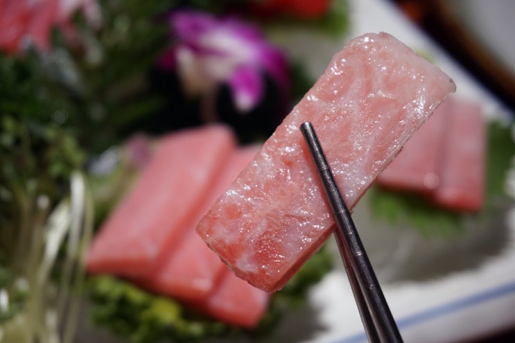  방이동 맛집 참치로 회식했어요 도도참치에서!