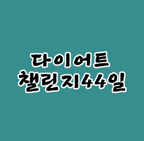 다이어트챌린지44일 감기조심하세요