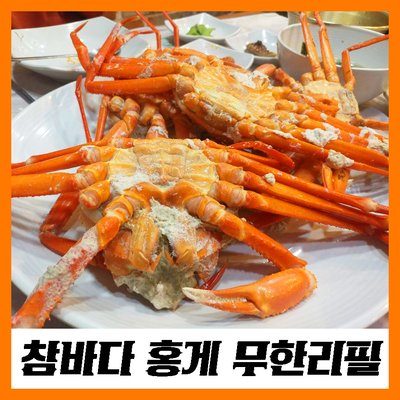  [홍게무한리필/부산맛집] '참바다 대게 물회'에서 홍게 무한 리필 냠냠~~
