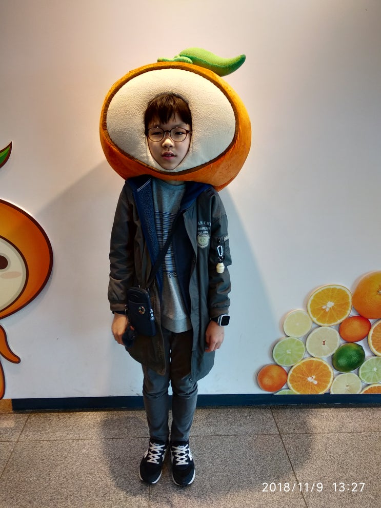 제주감귤박물관.. 추천합니당