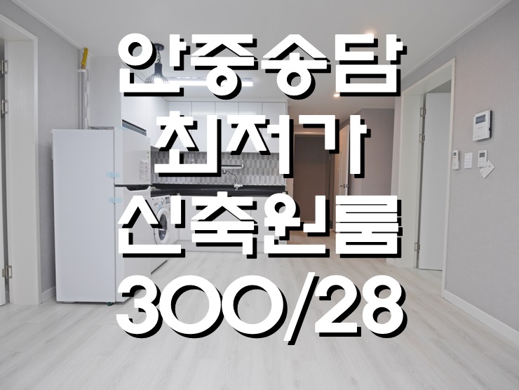  안중원룸 싸다 최저가에요 수납 좋은 송담원룸