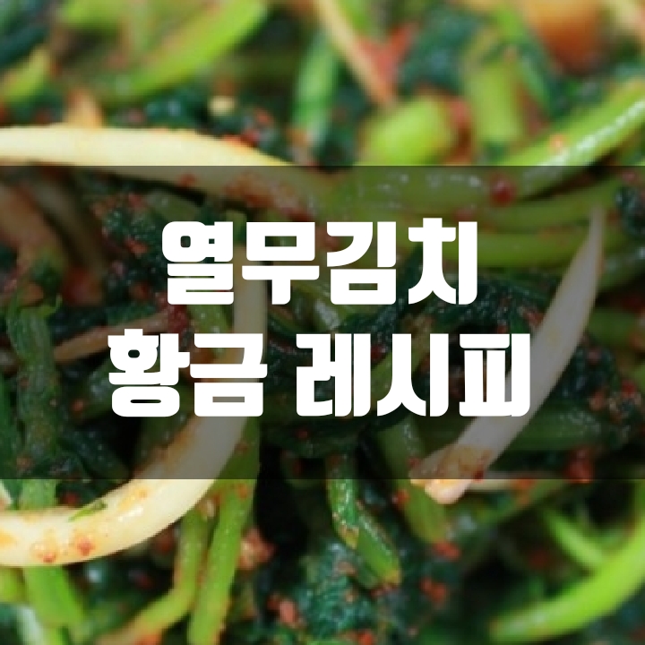  열무김치 황금레시피 (No 설탕, No물엿)