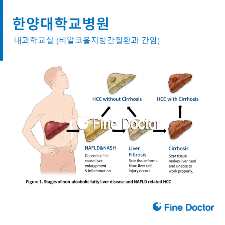  의학삽화제작 - Fine doctor