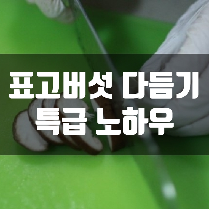  표고버섯 다듬기 (노하우)