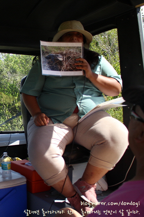  [마이애미] 에버글레이즈 국립공원(Everglades National Park) 6 - 트램 트레일