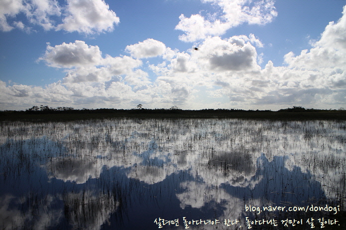  [마이애미] 에버글레이즈 국립공원(Everglades National Park) 5 - 샤크 밸리