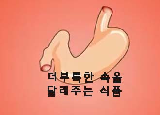  더부룩한 속을 달래주는 식품