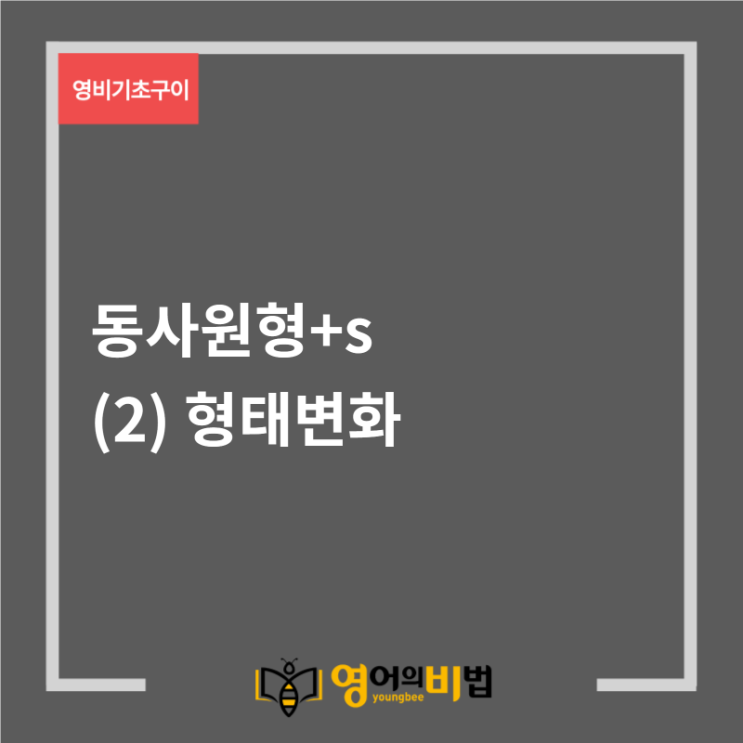  3인칭단수&현재시제일 때  일반동사의 형태 (동사원형+s,-es,-ies,영어기초)
