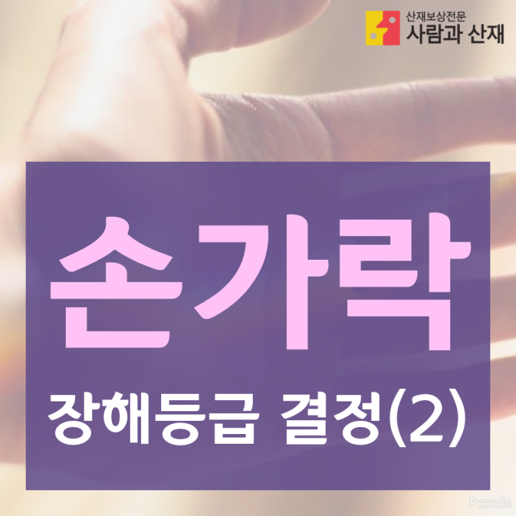  손가락의 장해등급 결정 (2)