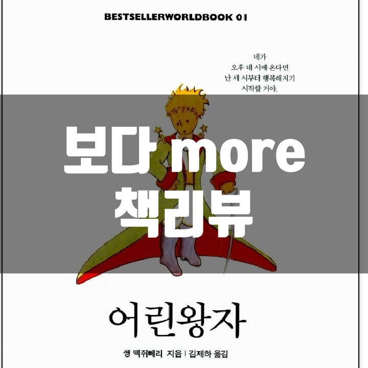  어린왕자 책리뷰(독서평) - 30편