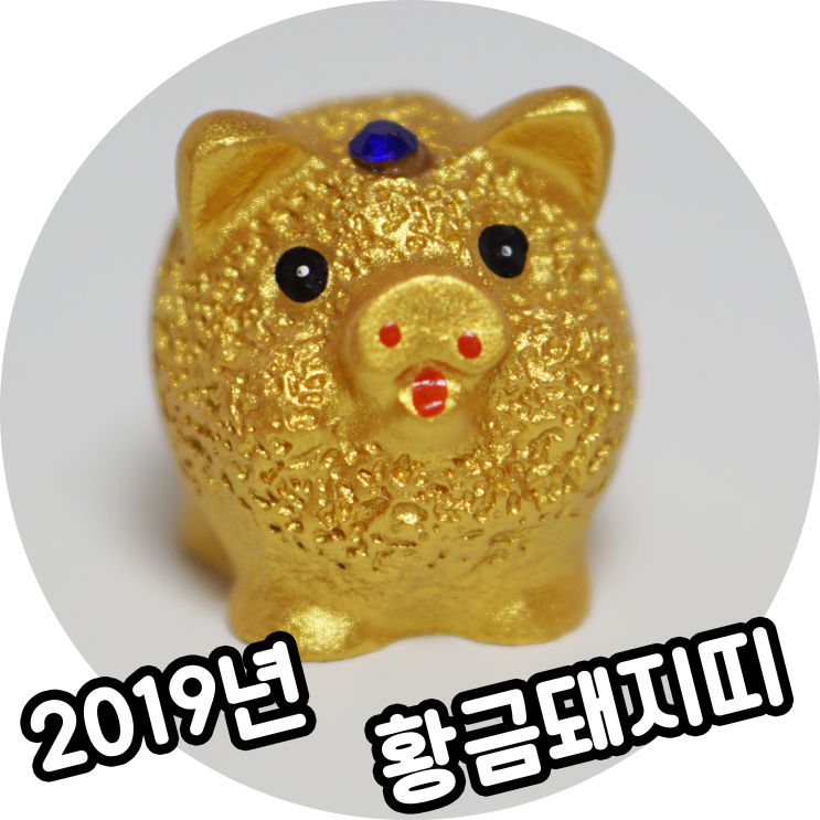  2019년 황금돼지띠, 기해년 예비맘들 신났다.