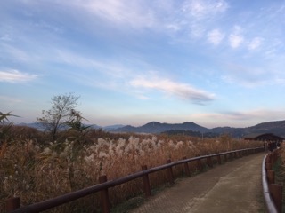  박순천 극기훈련