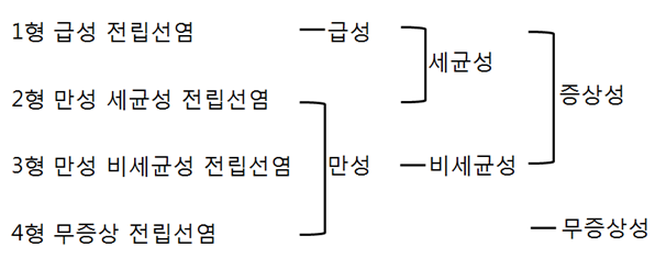  전립선염의 분류