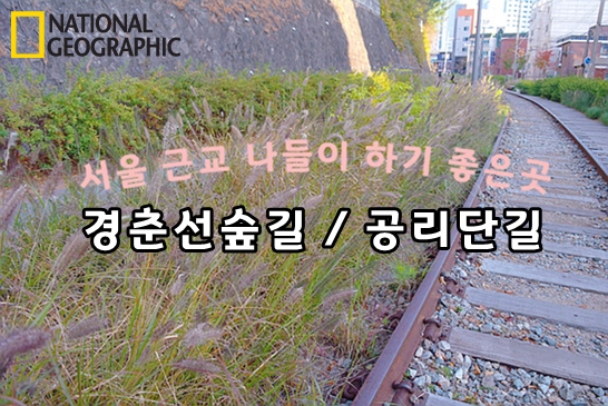  공릉 경춘선숲길 / 공리단길 - 서울근교 나들이 하기 좋은곳