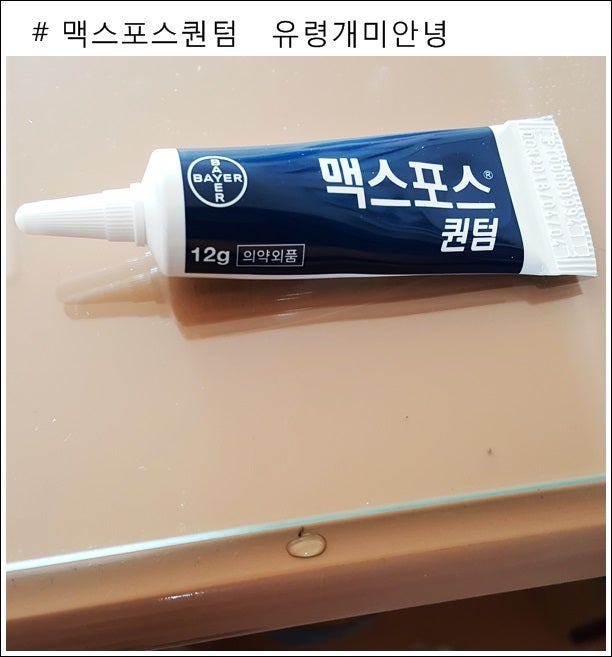 [ 개미약추천 ] 맥스포스퀀텀 . 개미풍년이구만 !! 하루 만에 효과 봄.