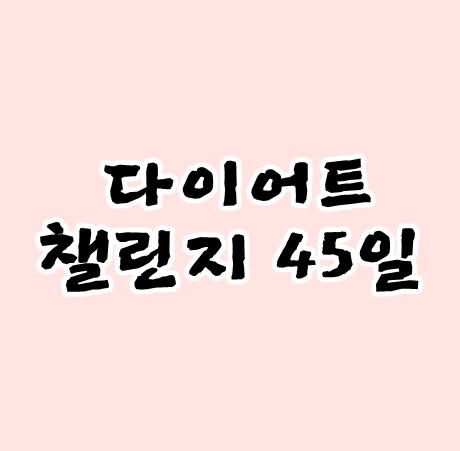 다이어트챌린지45일 