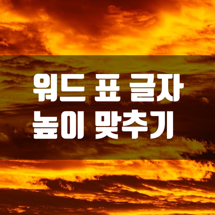 워드 표 글자 높이 맞추기 (노하우) - 3편