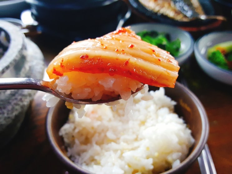 남양주 가곡리 수동맛집 청국장 곤드레나물 돌솥밥 분위기좋은 한옥 한정식 와뚠지 점심식사 시식후기