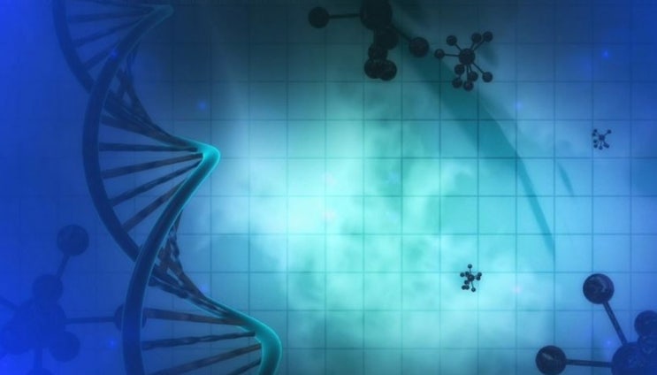 난청 예방 약물을 만들어낼 수 있는 유전자 발견