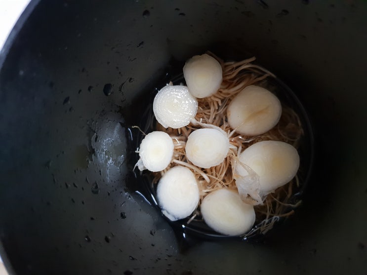  대파 수경재배 1.