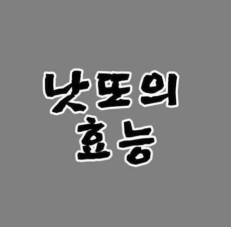 낫또다이어트효능 있을까요? 