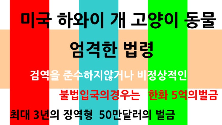  미국 하와이 개 고양이 입국규정 변동안내 미국애견운송 고양이운송 미국출국검역 전세계애완동물출국