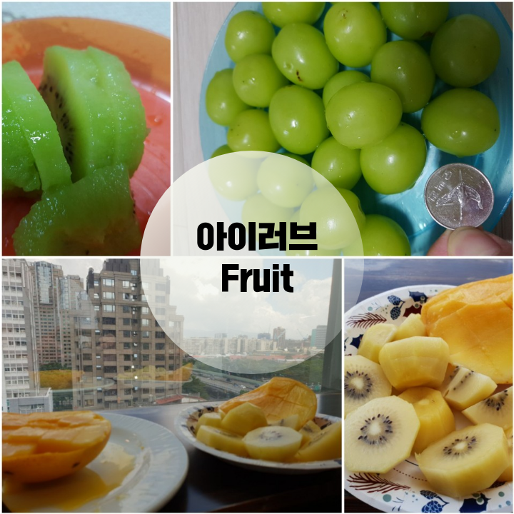  맛있는 과일(참다래, 망고,골드키위) 그리고 샤인머스캇( 과일세정 방법)