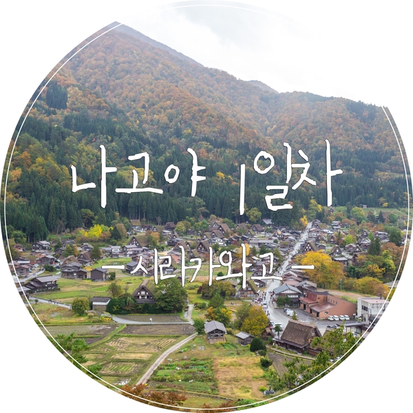  [나고야여행] 나고야에서 동화 같은 마을 시라카와고 GO!(시라카와고 주차장, 시라카와고맛집, 시라카와고전망대)