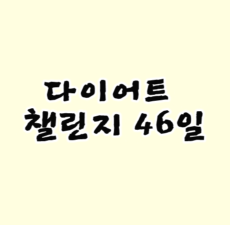 다이어트챌린지 46일차 김밥이 든든한지 처음 알았네요