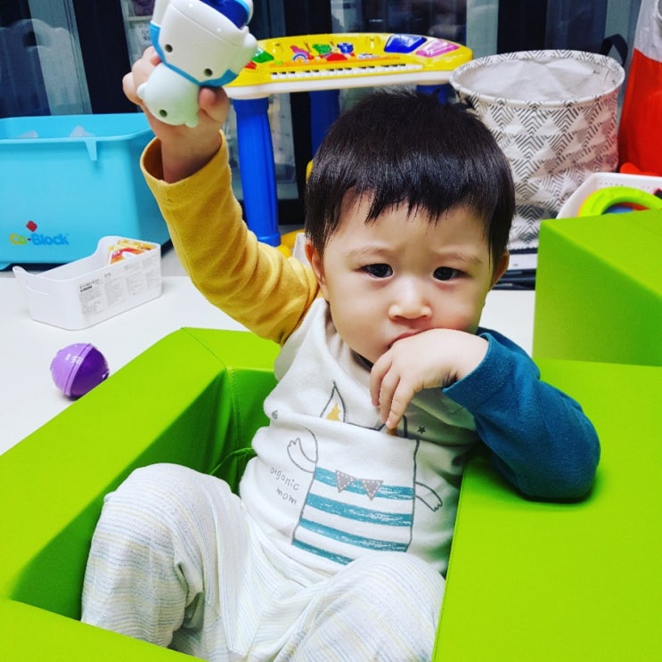  포비는 내친구
