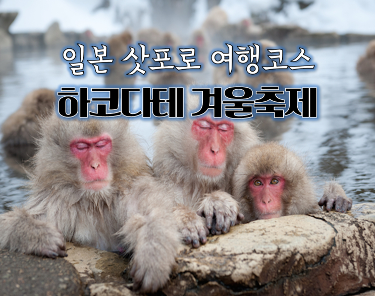  겨울 일본여행, 북해도 삿포로 근교 하코다테 겨울축제 (12월, 1월, 2월)
