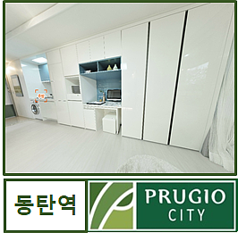  동탄역 대우 푸르지오시티 오피스텔 분양권 매매