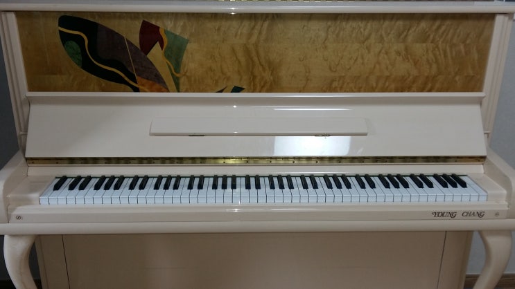 강남 피아노조율/피아노운반 (강남구 대치동)