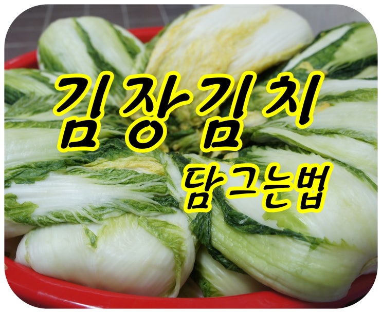  김장김치담그는법 엄마 손맛을 드디어 배웠습니다~
