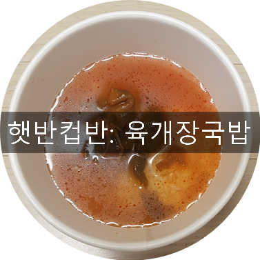  햇반 컵반 추천: 육개장국밥, 계란넣고 간단히 전자렌지로 한그릇 요리!