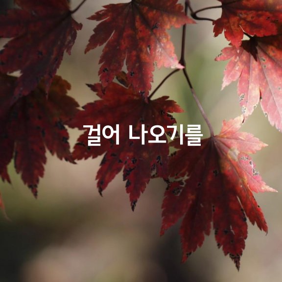  걸어 나오기를