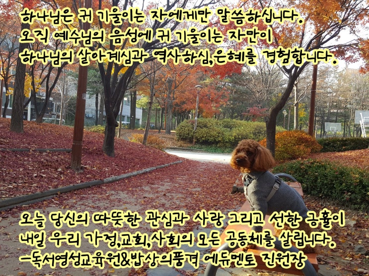  김하나 목사님의 2018년 11월 17일 토요새벽설교의 은혜는?