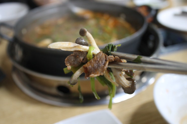  울산 태화동 맛집 버섯샤브칼국수 전문점 퐁당퐁당
