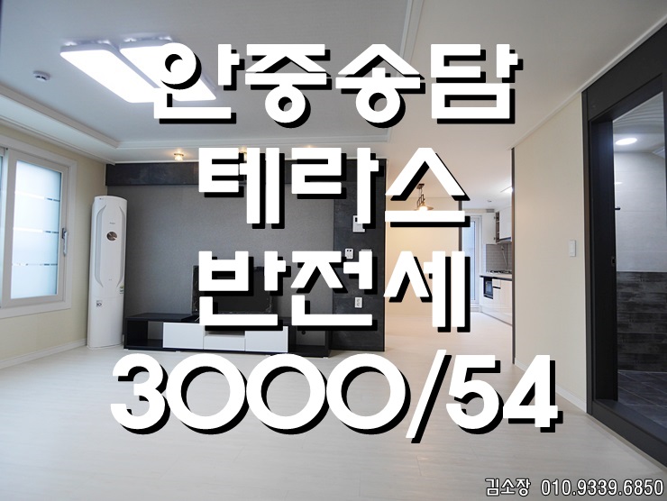  안중송담투룸 반전세 노브랜드 하나로 마트 근처 테라스가 있는 소확행