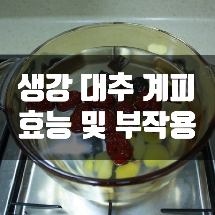  대추 생강 계피 효능 및 부작용