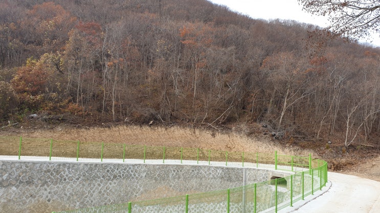  백령도 (임야) 10,450㎡ 토지매매 2,600만원 【저수지 옆 산자락 땅】