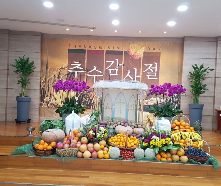 추수감사주일 추수감사주일