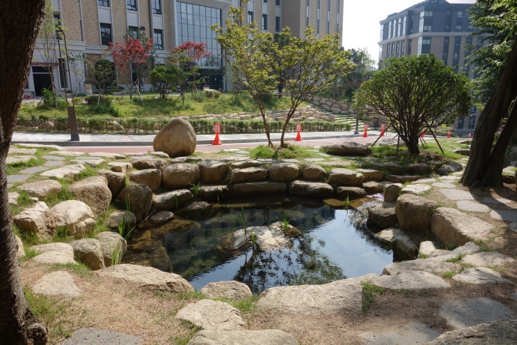 부산외대 면접을 잘 보려면 면접관에게 잘 보여라! 좋은 첫인상 만들기 두 번째 이야기[목소리]