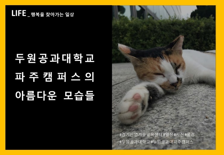 [경기산업기술교육센터] 매우 주관적인 뉴스 